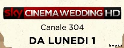 sky-cinema-wedding