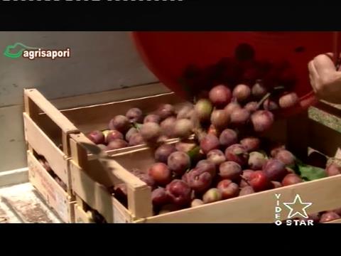 Videostar rimosso dal mux di Antenna Uno Lentini