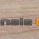 canale-61