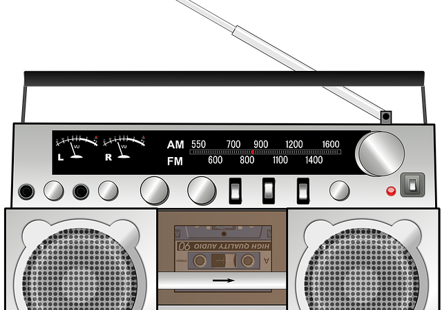 Quali sono le frequenze per la radio FM?