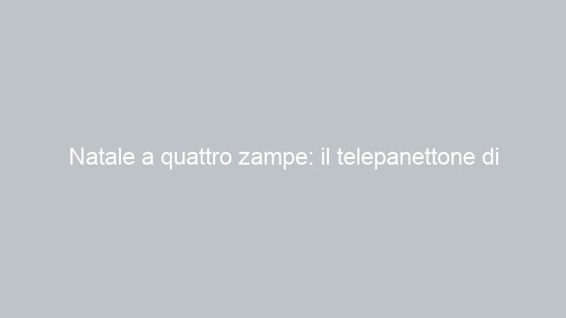 Natale a quattro zampe: il telepanettone di Massimo Boldi su canale 5